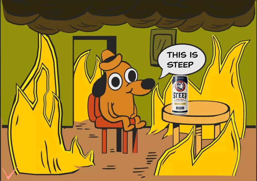 Steep Original Citrus — Clean Yerba Maté Energy (12 oz)